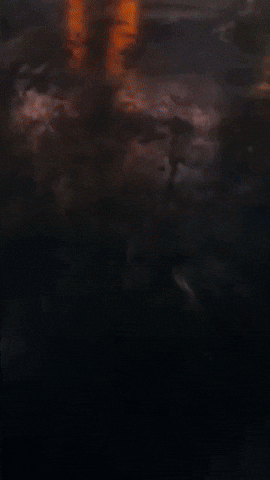 Football College GIF by Tennessee Athletics