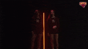 Wvb GIF by CUCougars