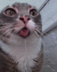 Eyes Locked Cant Look Away GIF