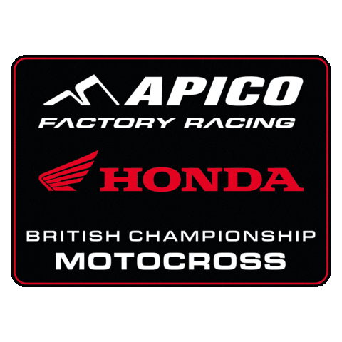 Honda Racing Sticker by ApicoFactoryRacing