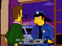 Season 4 Episode 21 GIF by The Simpsons