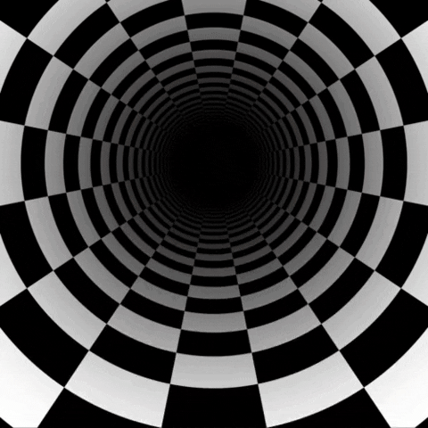 Hurricane_Freya giphyupload bear beast chess GIF
