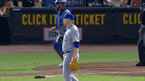 Blue Jays Baseball GIF by Toronto Blue Jays