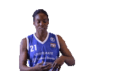 Sport Basketball Sticker by Basket_fi