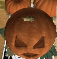 quiver pumpkins GIF by Product Hunt