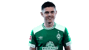 oh no omg Sticker by SV Werder Bremen