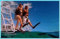 DoYouDiscover dyd doyoudiscover GIF