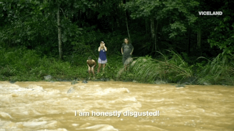 giphyupload viceland jungletown giphyjungletown108 GIF