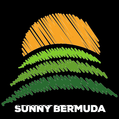 SunnyBermuda giphygifmaker chill sunny lawn GIF