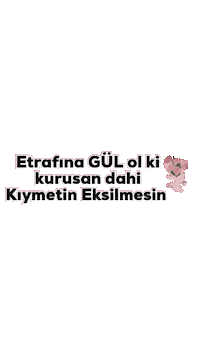 Flowers Rose Sticker