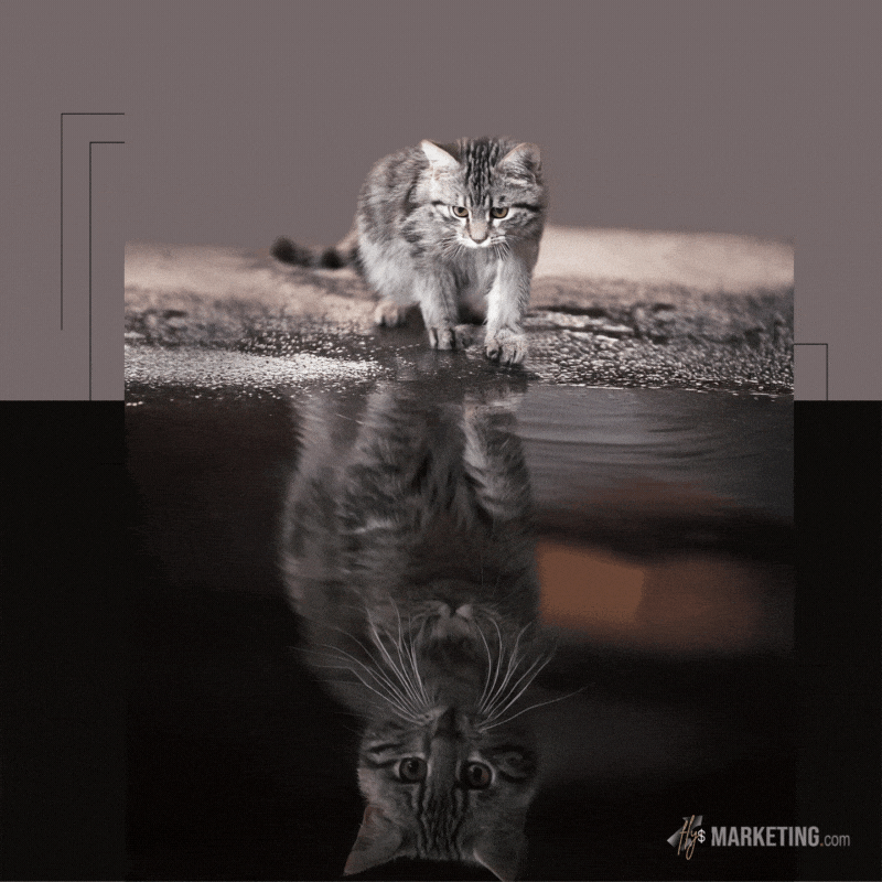 FlySMarketing giphyupload motivation future inspiration GIF