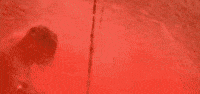 The Pretender GIF by Foo Fighters