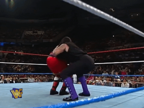 Summerslam 1995 Wrestling GIF by WWE