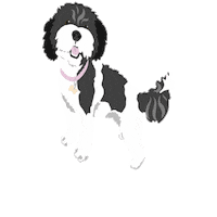 Excited Dog Sticker