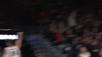 GonzagaBulldogs celebration basketball cheering crowd GIF