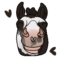 Lucky Boy Horse Sticker