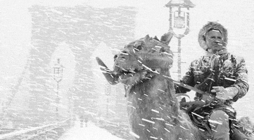 empire strikes back nyc GIF by JaegerSloan