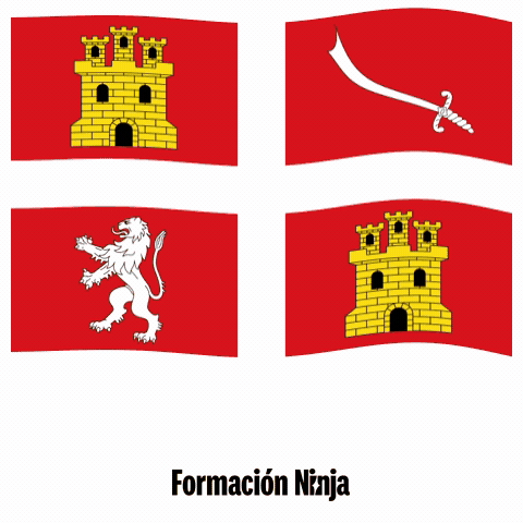 Castilla Y Leon Bandera GIF by Formación Ninja