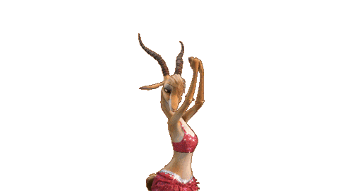 Party Shakira Sticker by Walt Disney Animation Studios