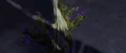 sub pop moaning GIF by Sub Pop Records