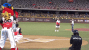 Taiwan Haewon GIF
