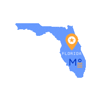 Florida Fl Sticker by Meridian°