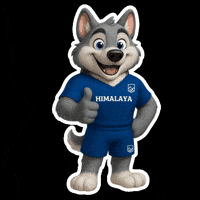 Huskies GIF by Himalaya Mty