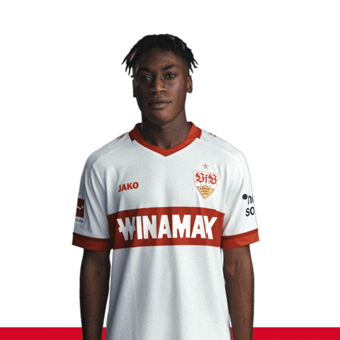 No Thanks Diehl GIF by VfB Stuttgart