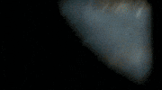 PapaSalt dance music party summer GIF