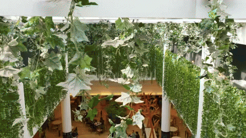 Experiência Comprovada