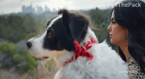 GIF by Amazon Prime Video