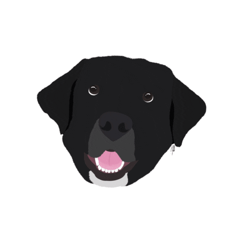 Dog Shadow Sticker