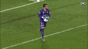 Western Sydney Wanderers Goalkeeper GIF by wswanderersfc