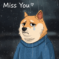 Sad Miss You GIF by Doge Pound