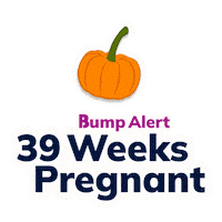 Pregnancy Expecting Sticker by The Bump