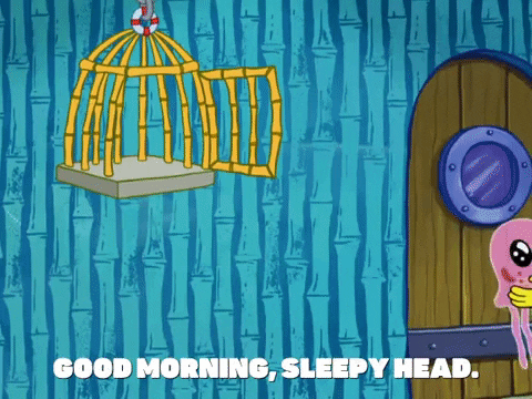 season 8 GIF by SpongeBob SquarePants