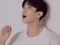 Dk 세븐틴 GIF