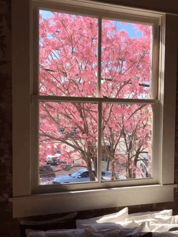 justin giphyupload cinemagraph giphyjgcinemagraphs GIF
