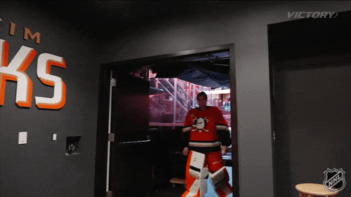 Happy Anaheim Ducks GIF by NHL