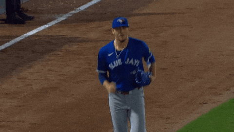 Blue Jays Baseball GIF by Toronto Blue Jays
