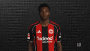 Eintracht Frankfurt GIF by Bundesliga