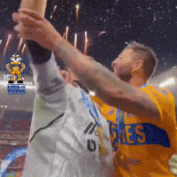 Liga Mx Tigres GIF