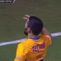 Liga Mx Tigresuanl GIF