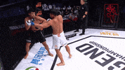 GIF by Legend FC