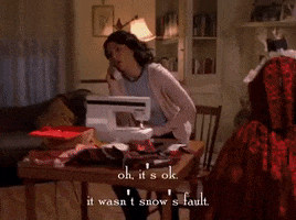 season 5 netflix GIF by Gilmore Girls 