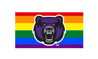 Gay Pride Rainbow Sticker by University of Central Arkansas