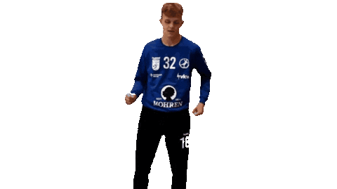 Dance Party Sticker by Bregenz Handball