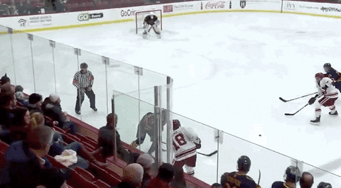 cam_robinson16 giphyupload GIF