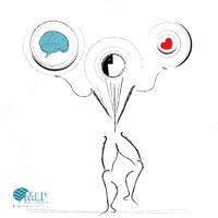 mlp_studio digital agency web agency mind like passion mlp studio GIF