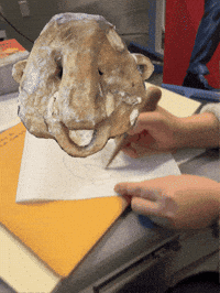 Face Drawing GIF by Alex Boya